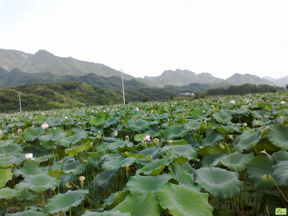 �α��Ǆ�(chu��ng)���